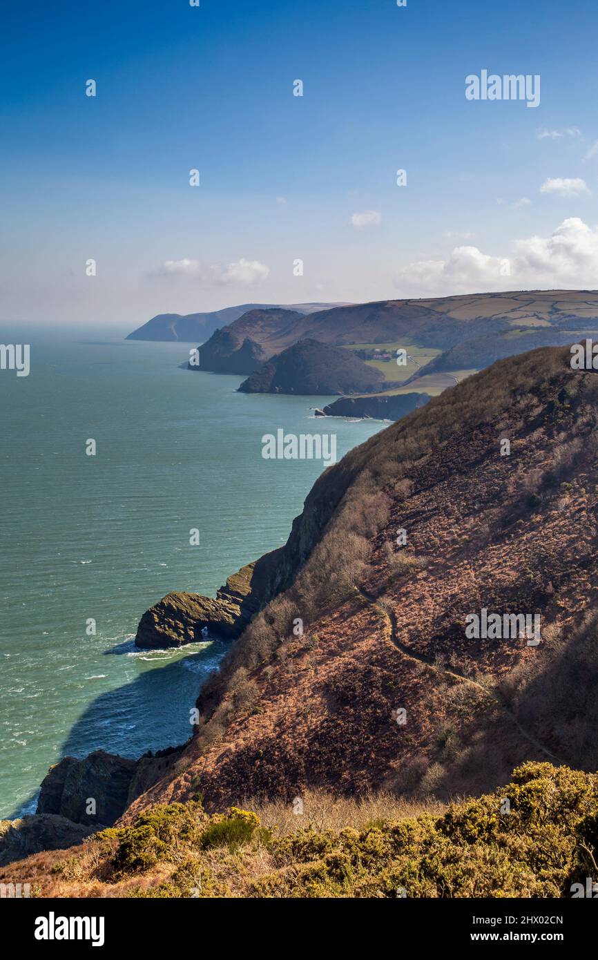 Sentiero costiero Devon; guardando verso Lynmouth; Regno Unito Foto Stock