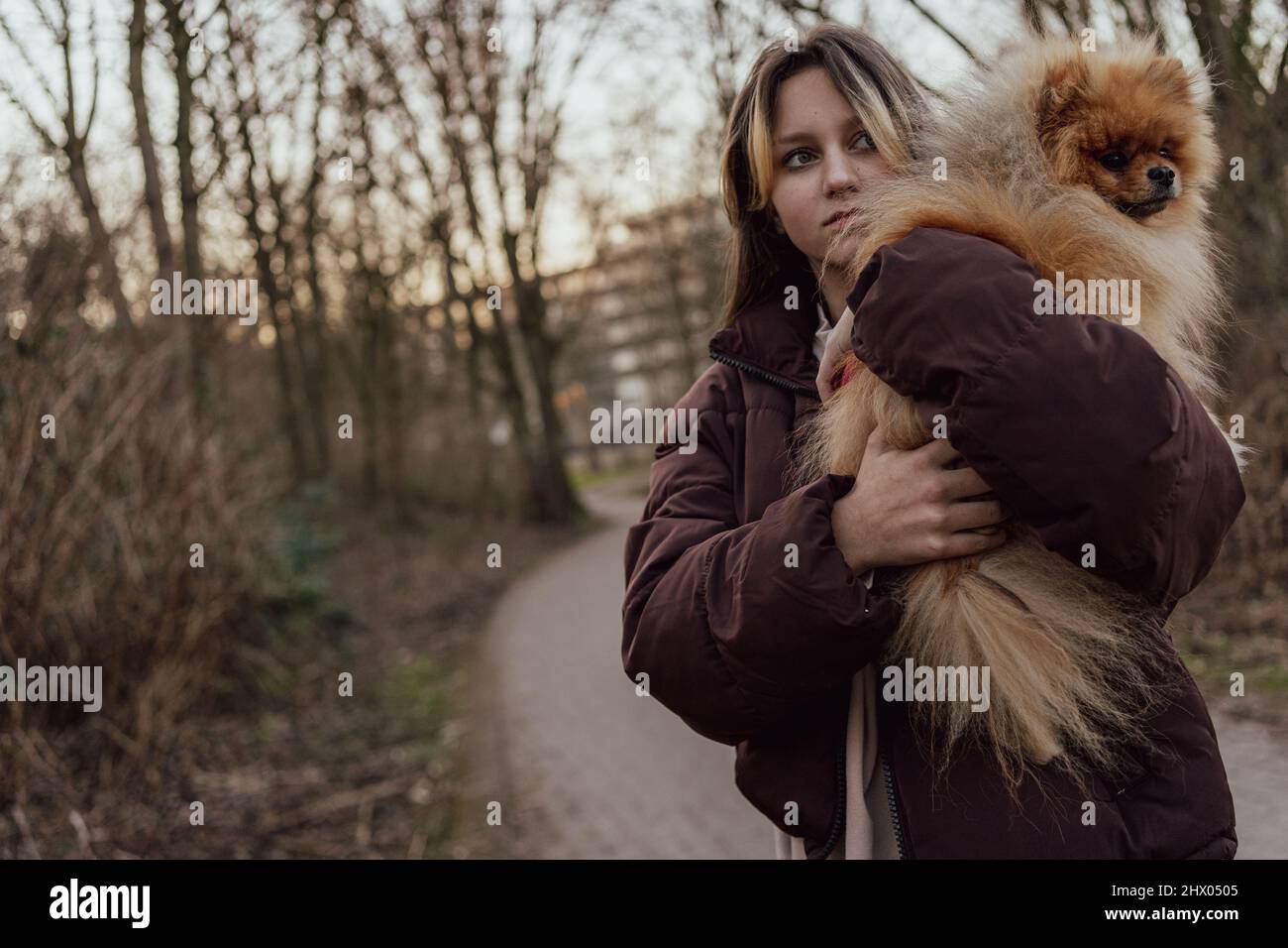 Ragazza anni dell'adolescenza con cane soffice Pomeranian Foto Stock