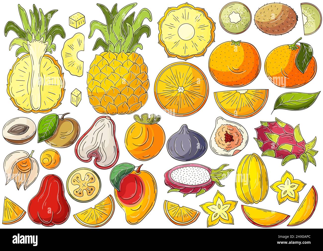 Grande set di illustrazioni vettoriali in stile disegno a mano. Disegni per bambini, poster con frutta tropicale. Collezione di icone, badge, spille, adesivi. Es Illustrazione Vettoriale