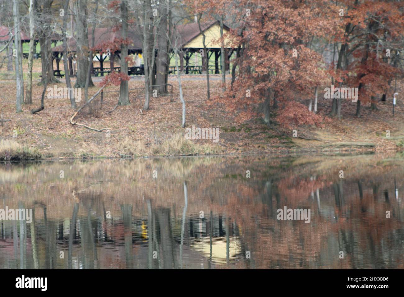 Padiglione picnic sul lago con riflessione Foto Stock