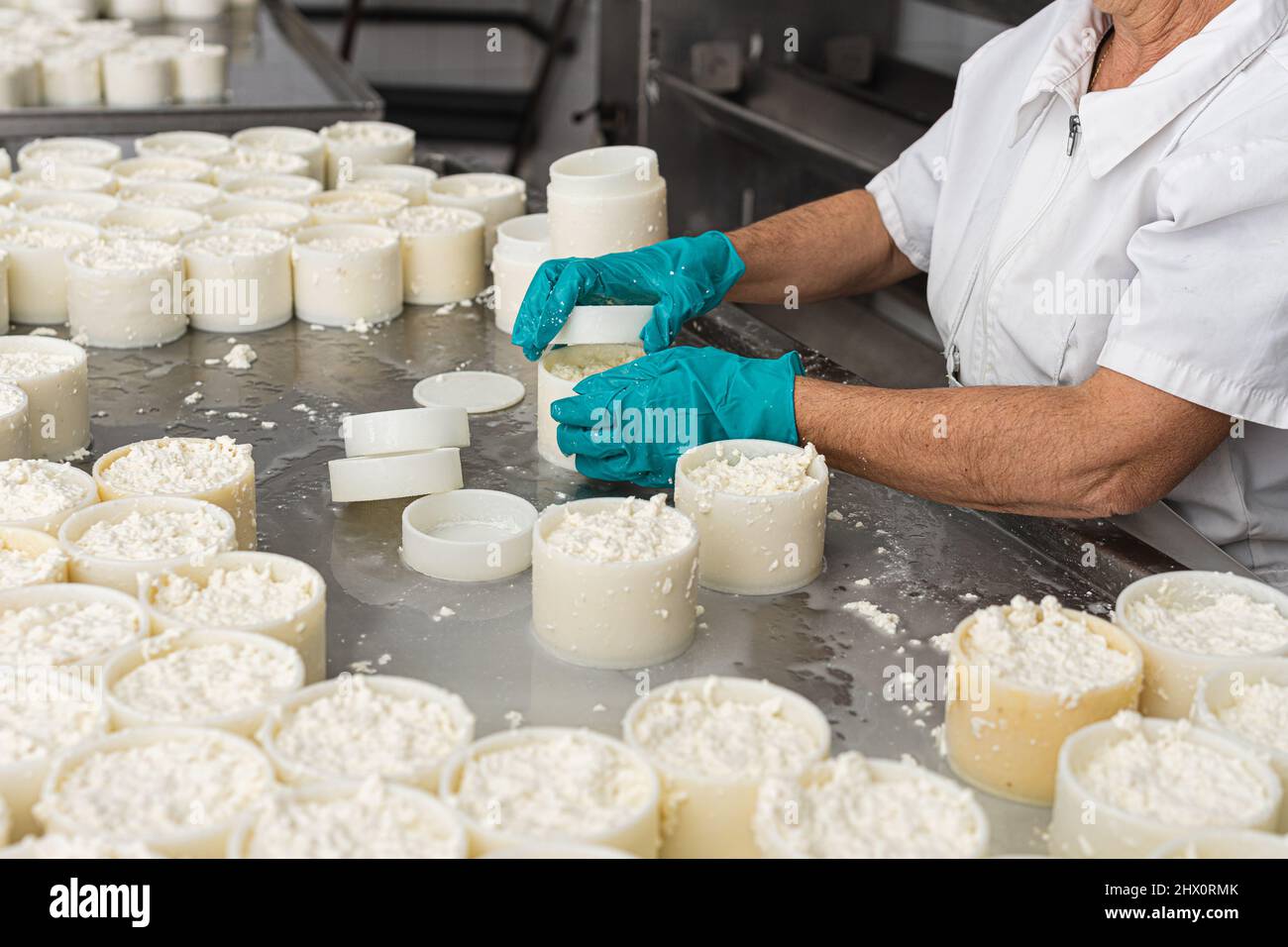 lavoratrice donna irriconoscibile in guanti che preparano le muffe di formaggio fresco per il processo di estrazione dell'acqua in eccesso Foto Stock