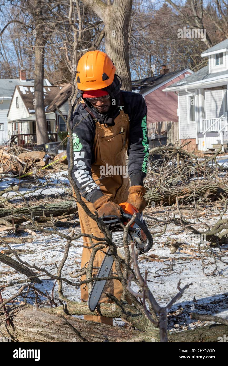 Detroit, Michigan - i lavoratori di Detroit Grounds Crew rimuovono gli alberi indesiderati e malati in un quartiere di Detroit. Foto Stock