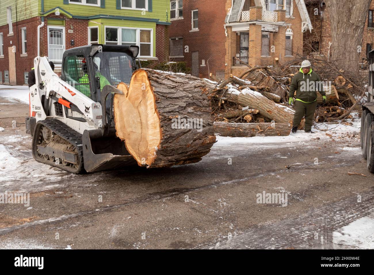 Detroit, Michigan - i lavoratori di Detroit Grounds Crew rimuovono gli alberi indesiderati e malati in un quartiere di Detroit. Foto Stock