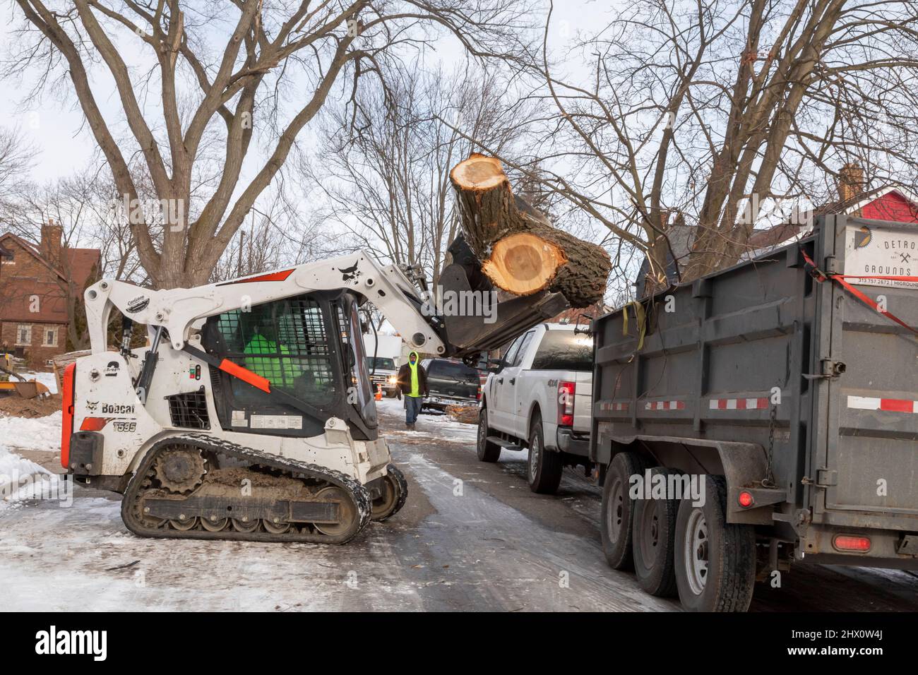 Detroit, Michigan - i lavoratori di Detroit Grounds Crew rimuovono gli alberi indesiderati e malati in un quartiere di Detroit. Foto Stock
