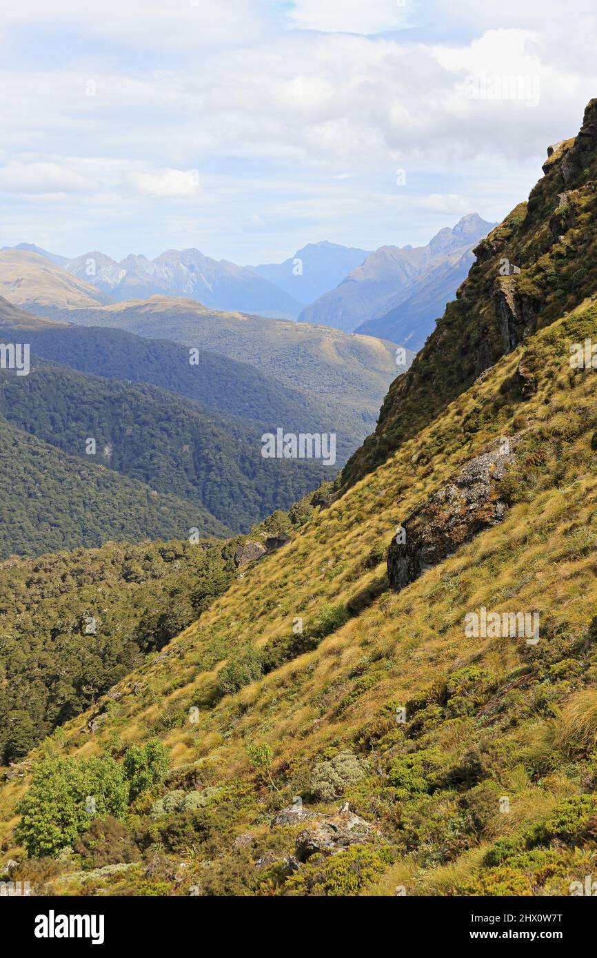 Routeburn Track sopra il lago Mackenzie, Fiordland, Nuova Zelanda Foto Stock