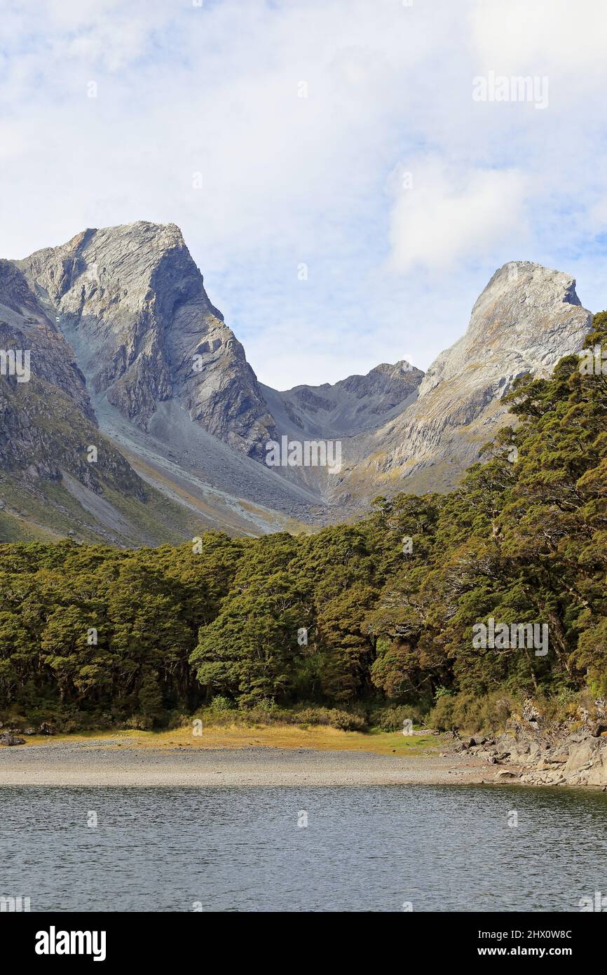 Lago Mackenzie Routeburn pista Fiordland Nuova Zelanda Foto Stock