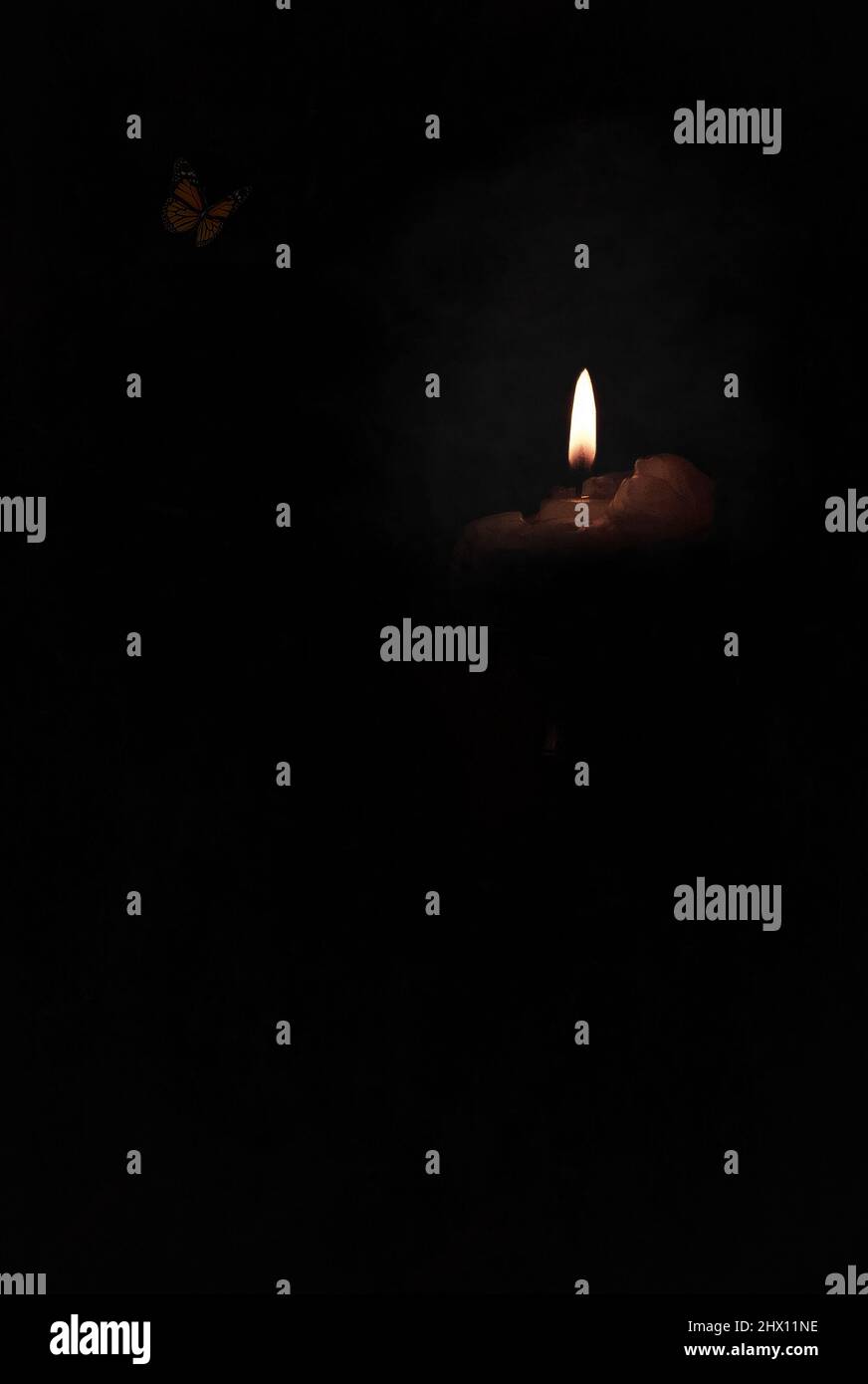 Vanitas fotografia di vita morta, con elementi tipici del genere. Foto Stock