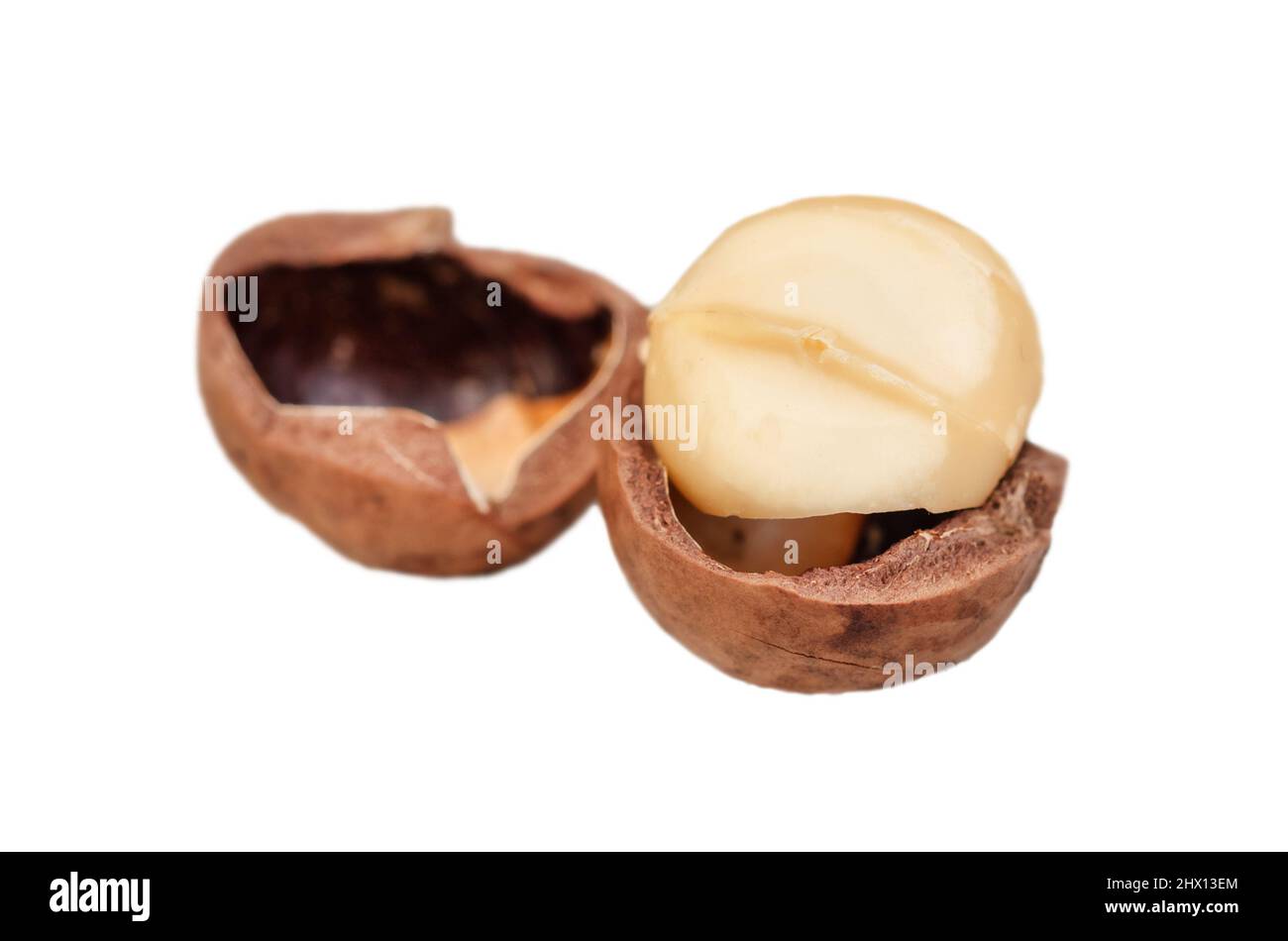 Dado di macadamia diviso isolato su sfondo bianco Foto Stock