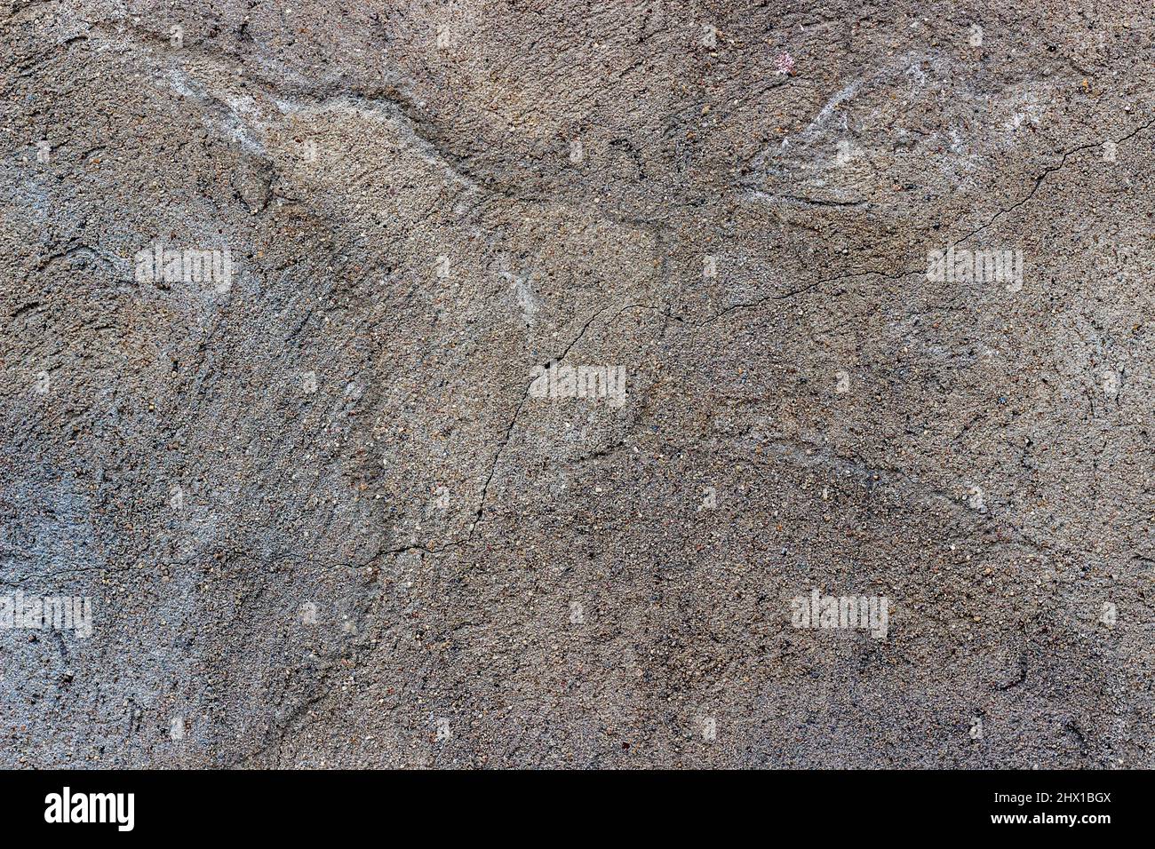 Tessitura di un muro di calcestruzzo a base di sabbia e cemento con una crepa. Sfondo astratto, texture senza giunture. Foto Stock