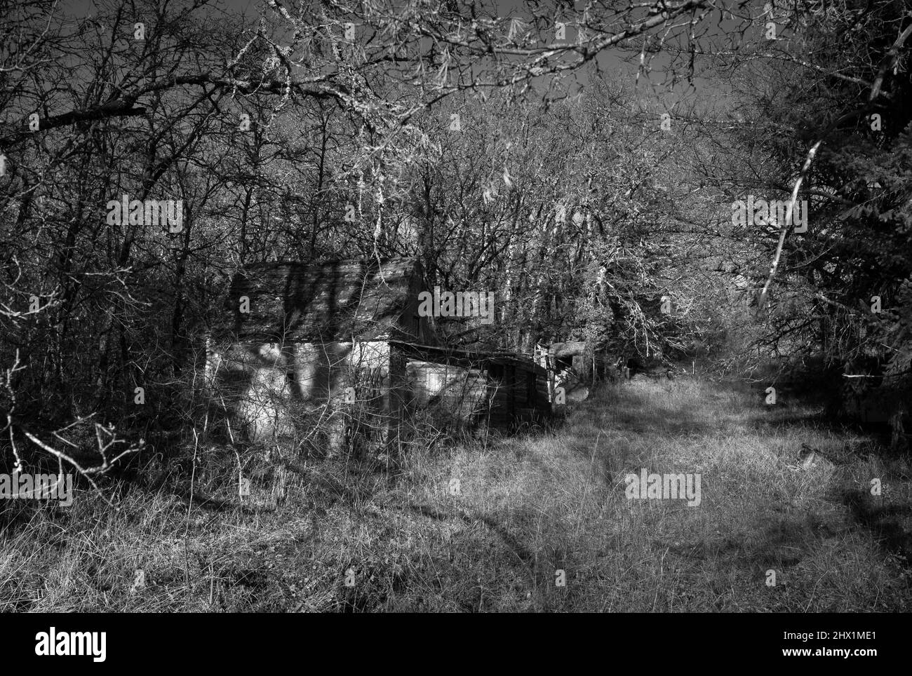 Costruzione abbandonata in boschi nei pressi di Catus; dipartimento Lot; Francia; Foto Stock
