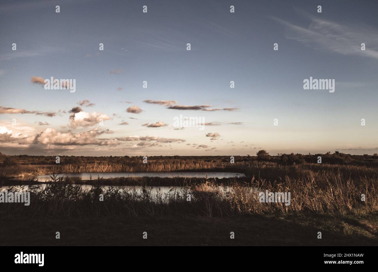 Saline al tramonto sull'isola di Re, Francia Foto Stock