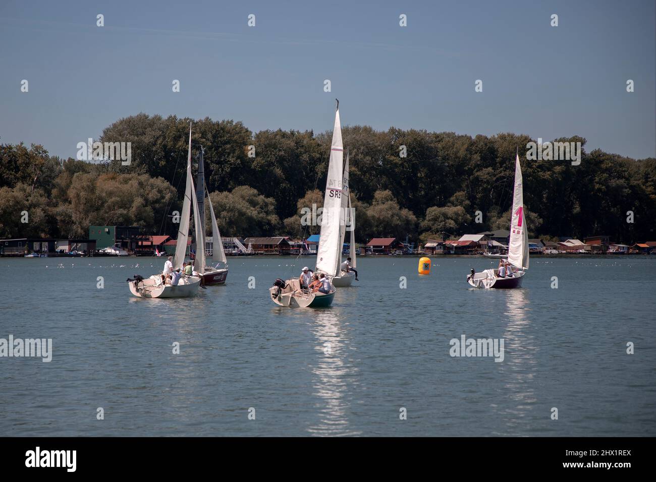 Belgrado, Serbia, 18 agosto 2019: Squadre in tre persone che gareggiano nella regata di vela Micro Class sul fiume Sava Foto Stock