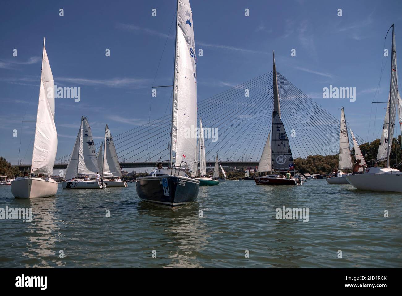 Belgrado, Serbia, 18 agosto 2019: Squadre in tre persone che gareggiano nella regata di vela Micro Class sul fiume Sava Foto Stock