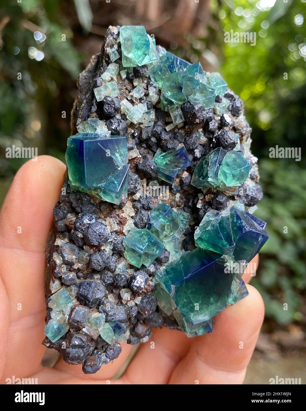 fluorite minerale campione pietra roccia geologia gemma cristallo Foto  stock - Alamy