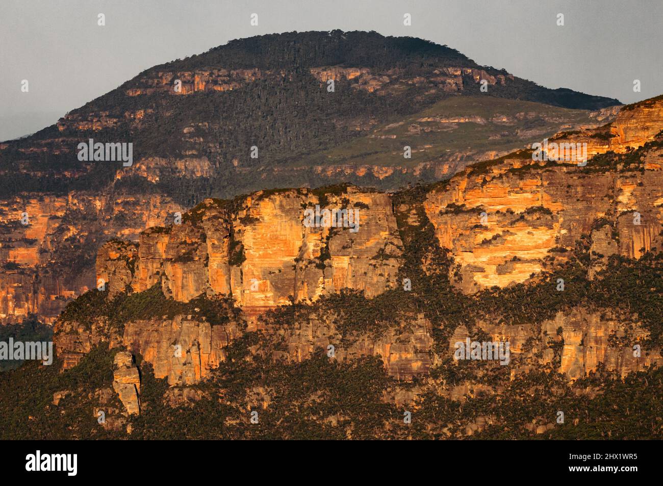 Ultima luce su un'impressionante parete rocciosa nel Parco Nazionale delle Blue Mountains Foto Stock