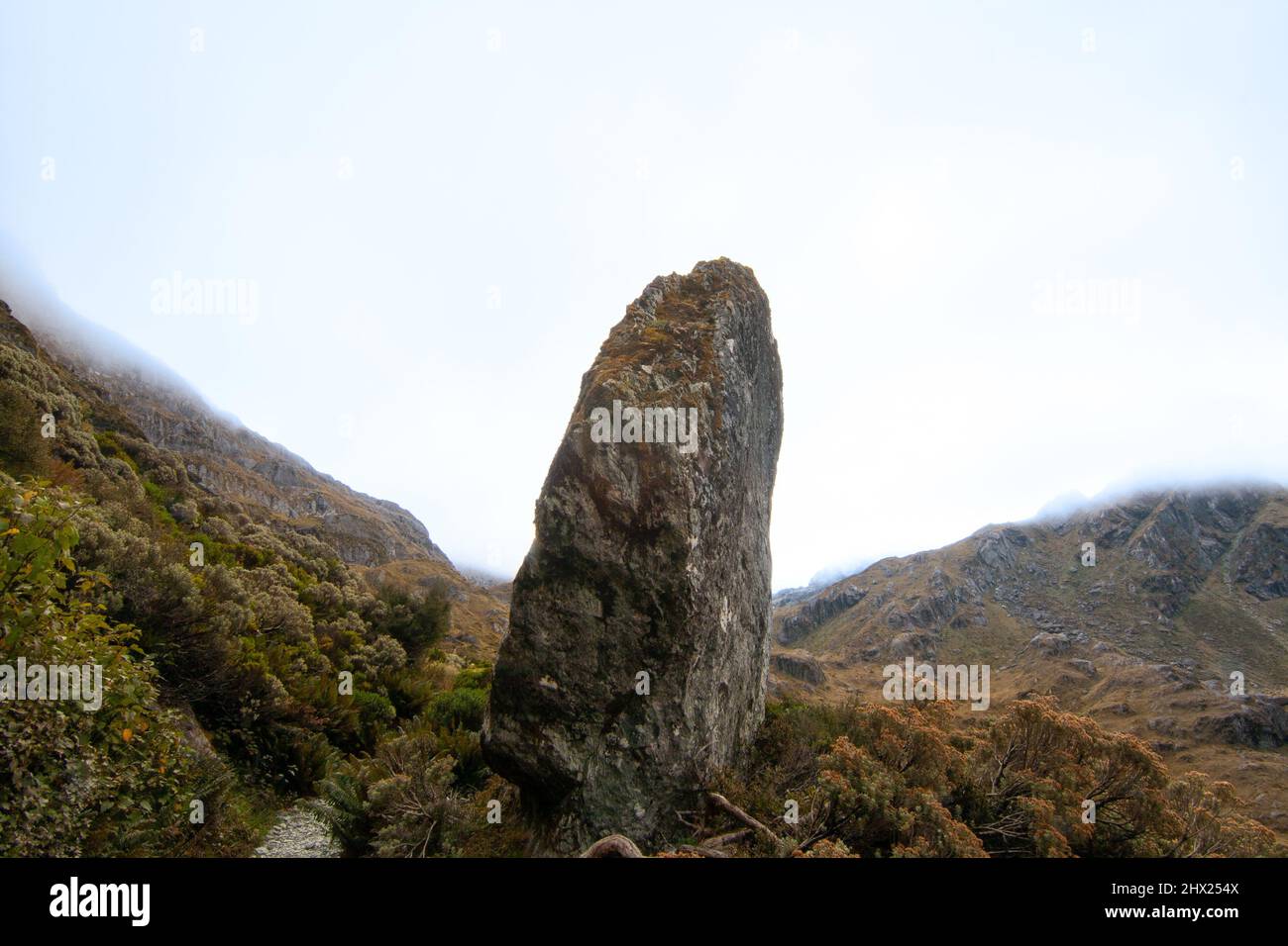 Nuova Zelanda Alpi meridionali tundra alpina, alta vegetazione selvaggia e flora nativa in nebbia Foto Stock