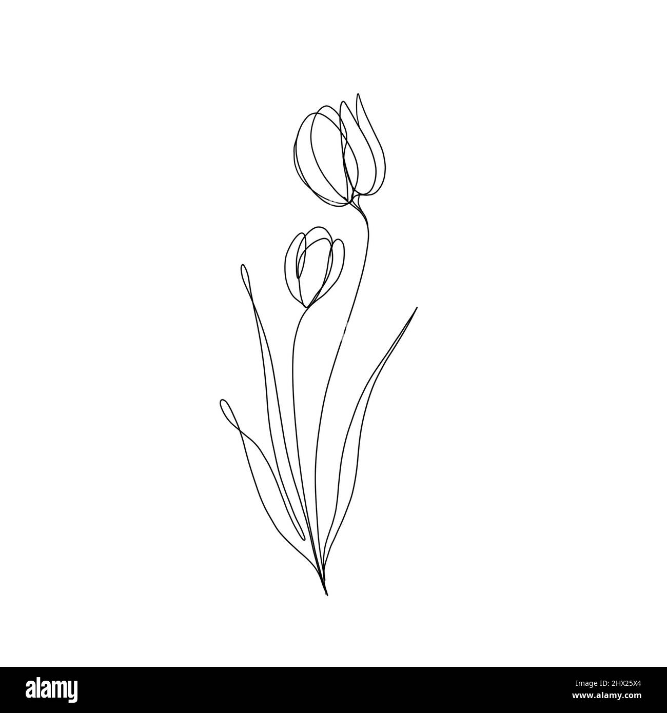 disegno di linea continuo del fiore. One line art. Minimalism sketch, idea per invito, design di storie instagram e icone highlights Foto Stock