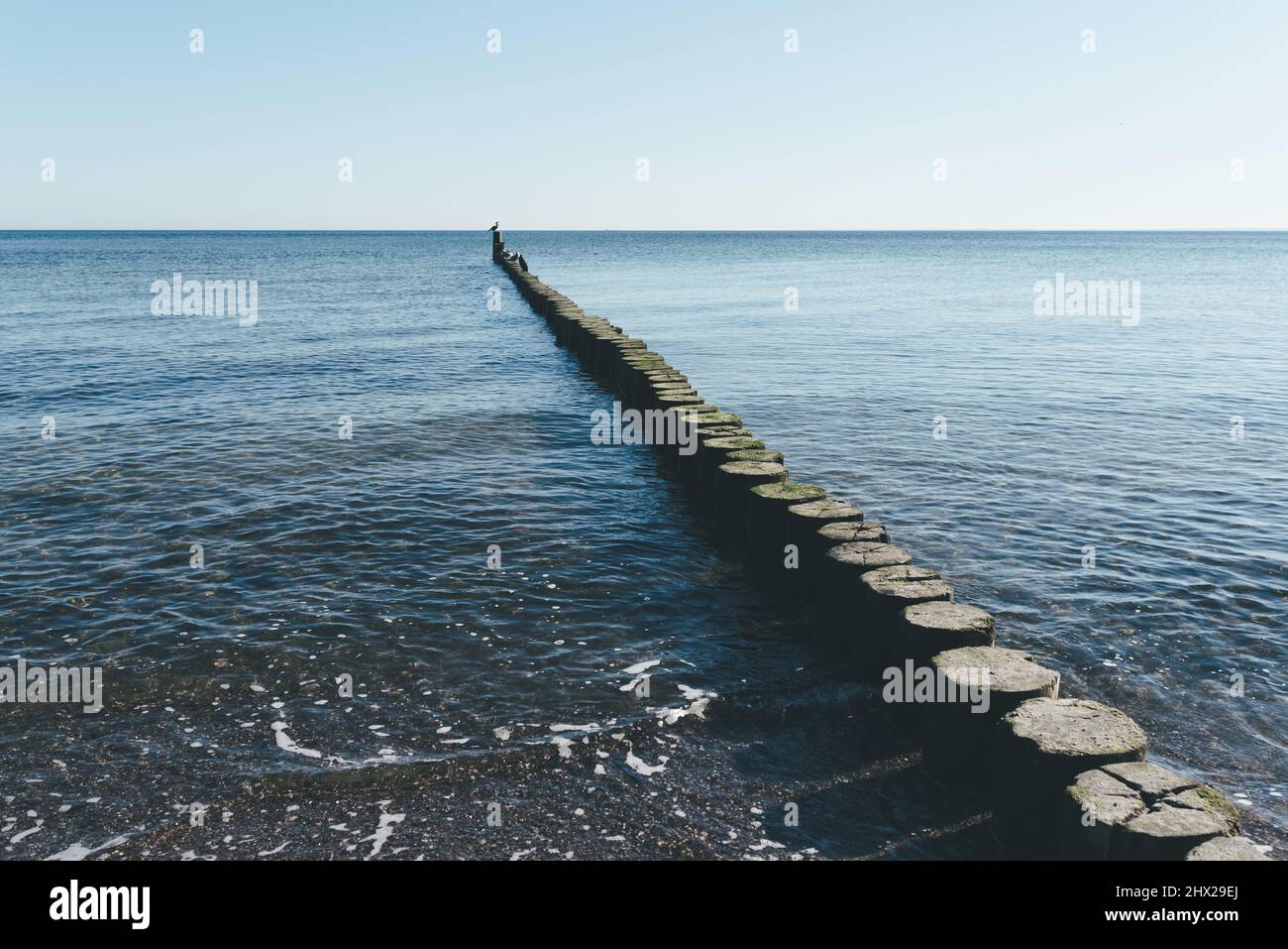 frangiflutti di legno nel mare baltico calmo contro il cielo blu Foto Stock