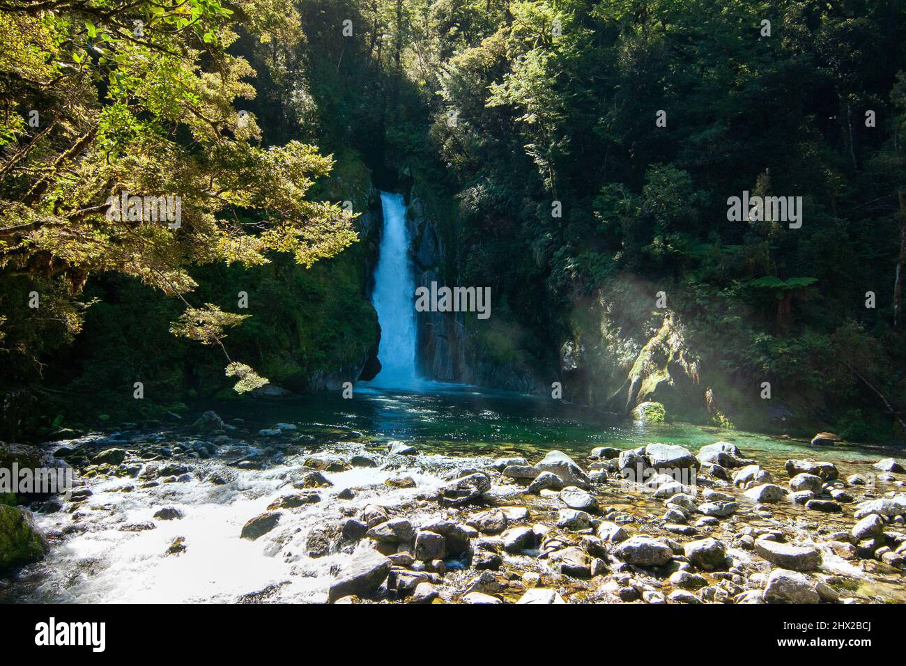 Cascate di Giant Gate, cascata della Nuova Zelanda, Milford Track Great Walk, Fiordland Foto Stock