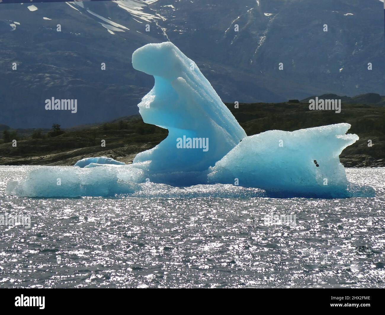 Iceberg del Lago Argentino (ghiacciaio Perito Moreno). Foto Stock