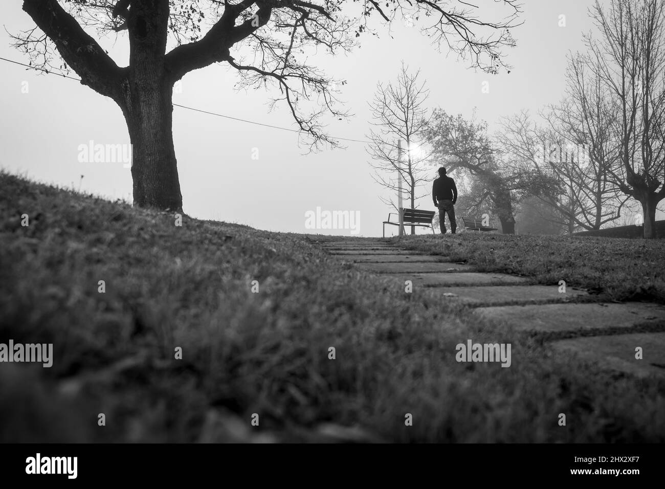 Foto sfocata di un uomo nel parco da solo con panca vuota e albero senza foglie. Vista posteriore di un uomo solitario nella scena in bianco e nero. Uomo ansioso. Triste, preoccupatevi Foto Stock