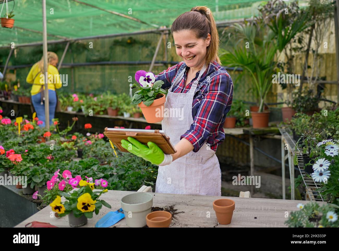 Donna felice con fiore in vaso facendo videochiamata Foto Stock