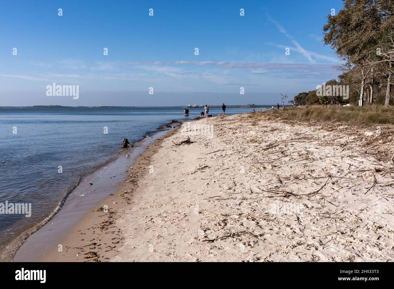 Una spiaggia nascosta segreta di Boneyard nella contea di Beaufort, Carolina del Sud. Gli indizi possono essere trovati ma è difficile da individuare. Foto Stock