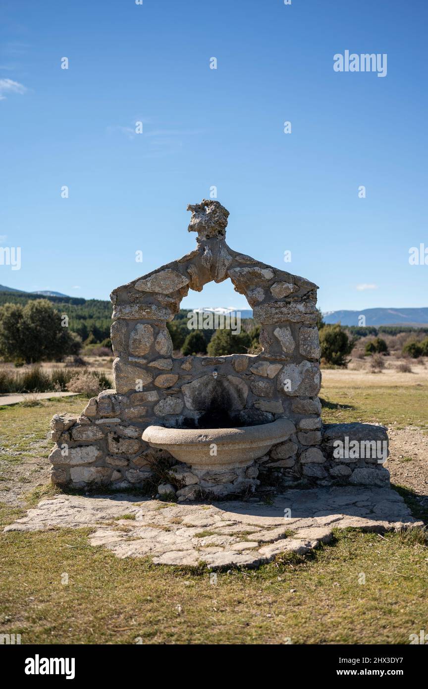 goditi ciò che vedono i miei occhi Foto Stock