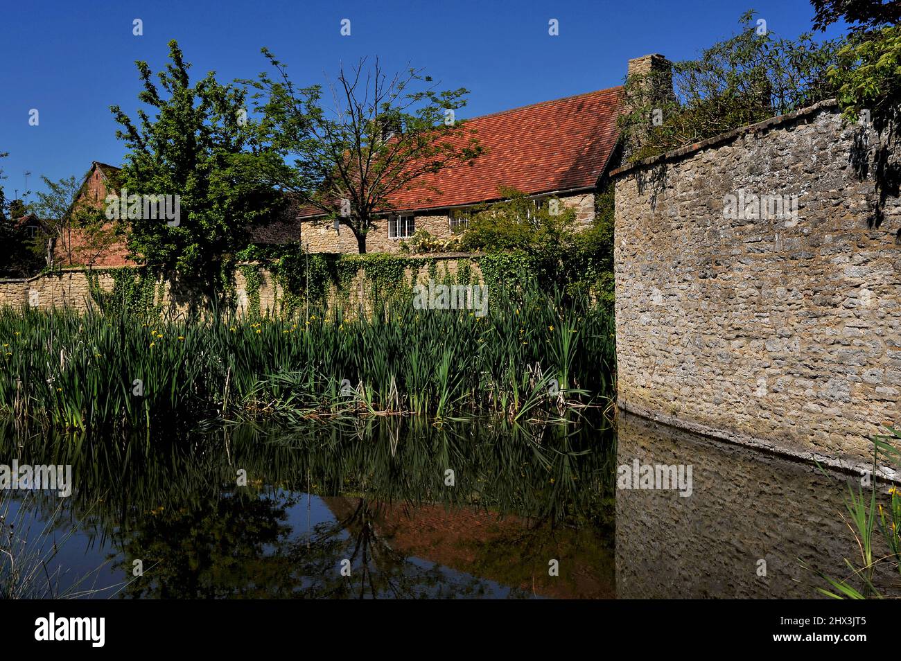 Riflessioni nel laghetto villaggio di Appleton, Oxfordshire, Inghilterra, Regno Unito, di antiche mura, un antico casale del 18th secolo e piante paludose come le iride e i bulrushes di acqua gialla. Foto Stock