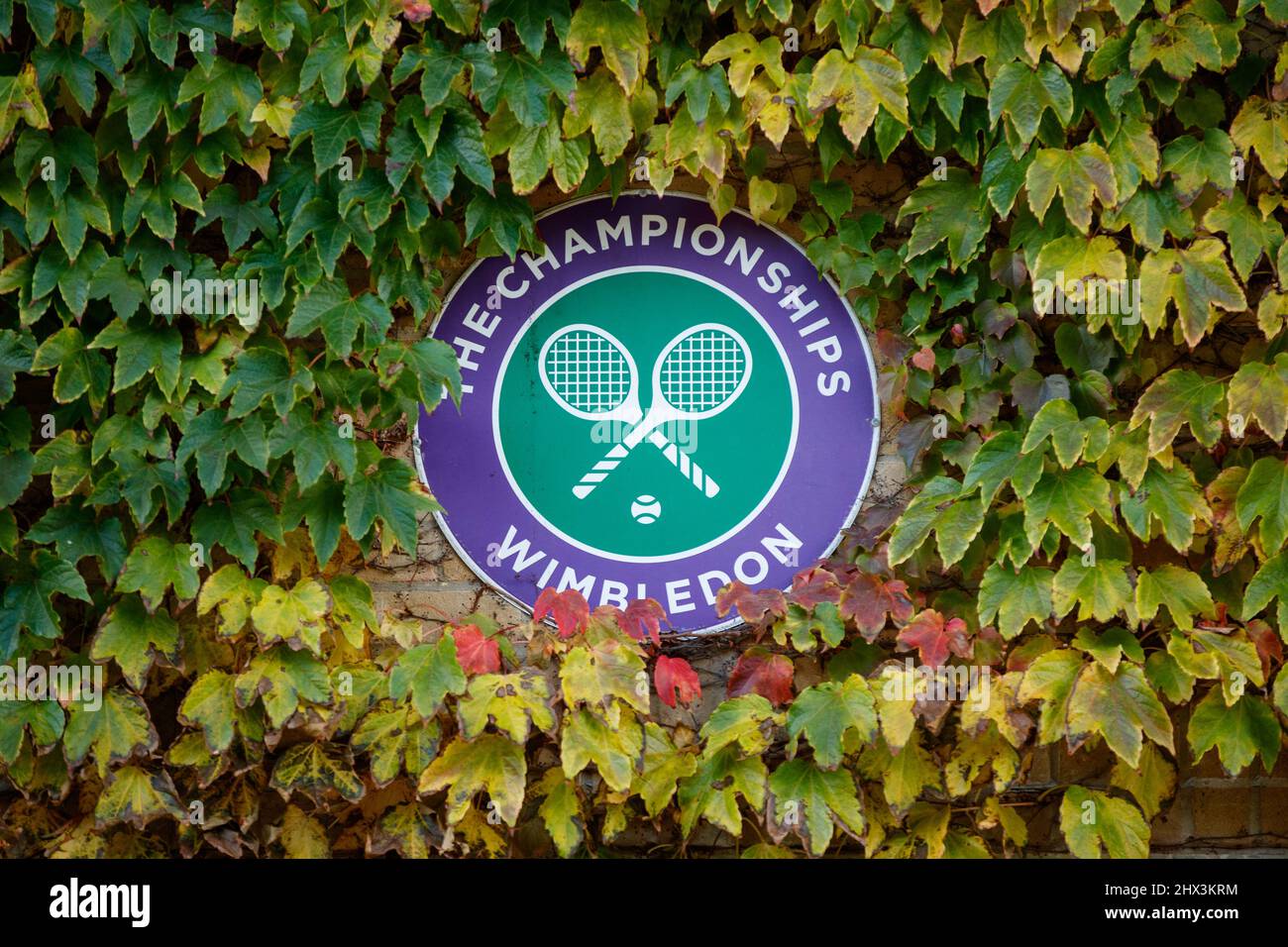 Il logo dei Campionati a Wimbledon Foto Stock