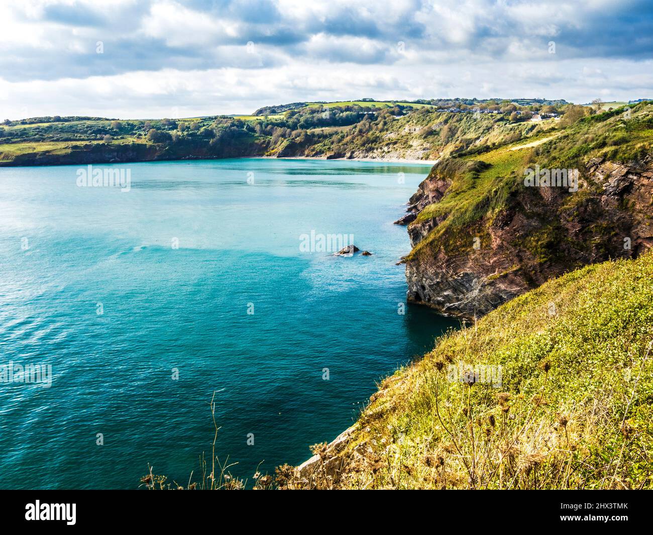 Vista dal South West Coast Path verso St. Mary's Bay e Sharkham Point vicino a Brixham, Devon. Foto Stock