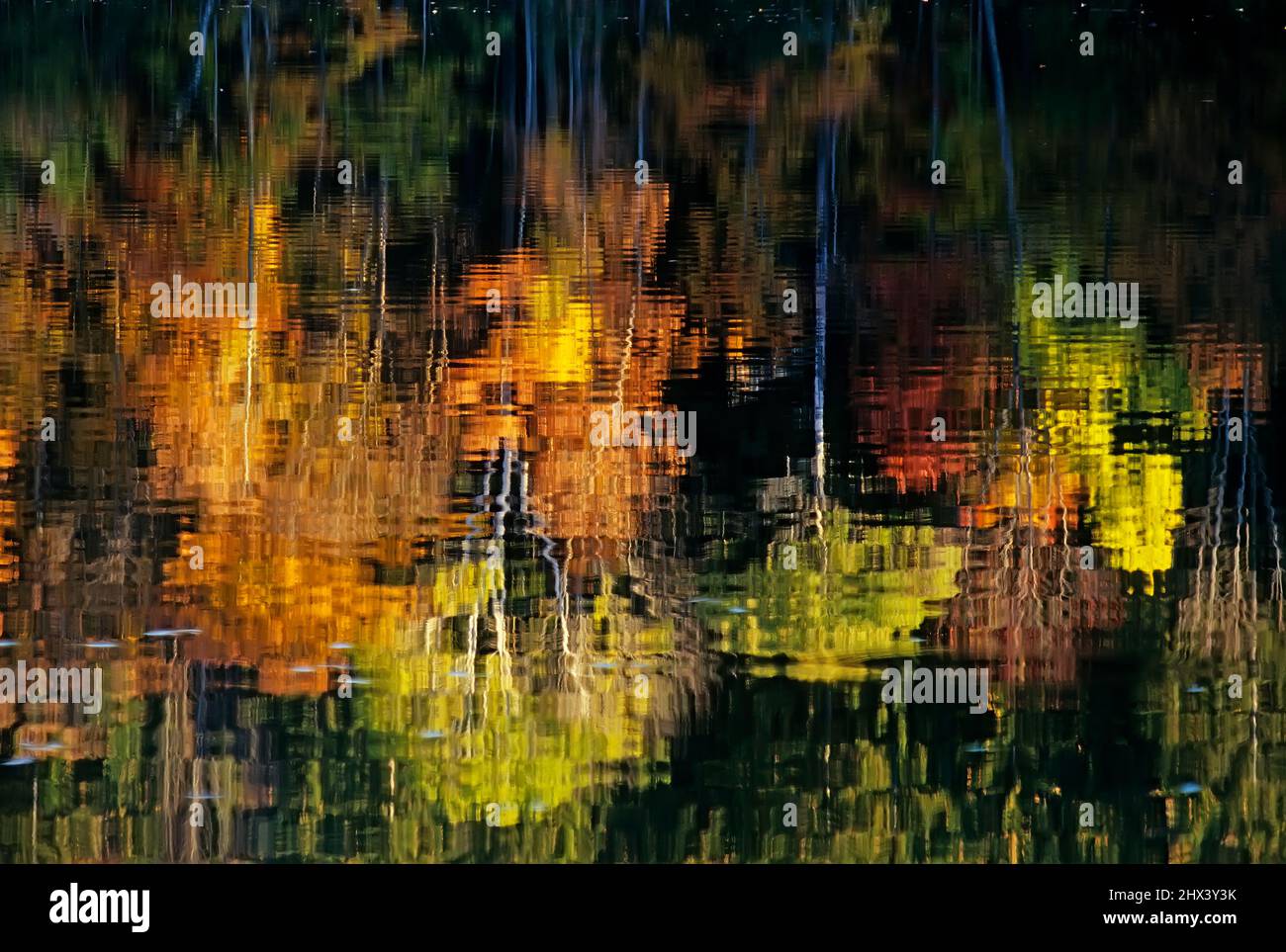 Riflessi autunno nel lago Green Mountains Vermont Foto Stock