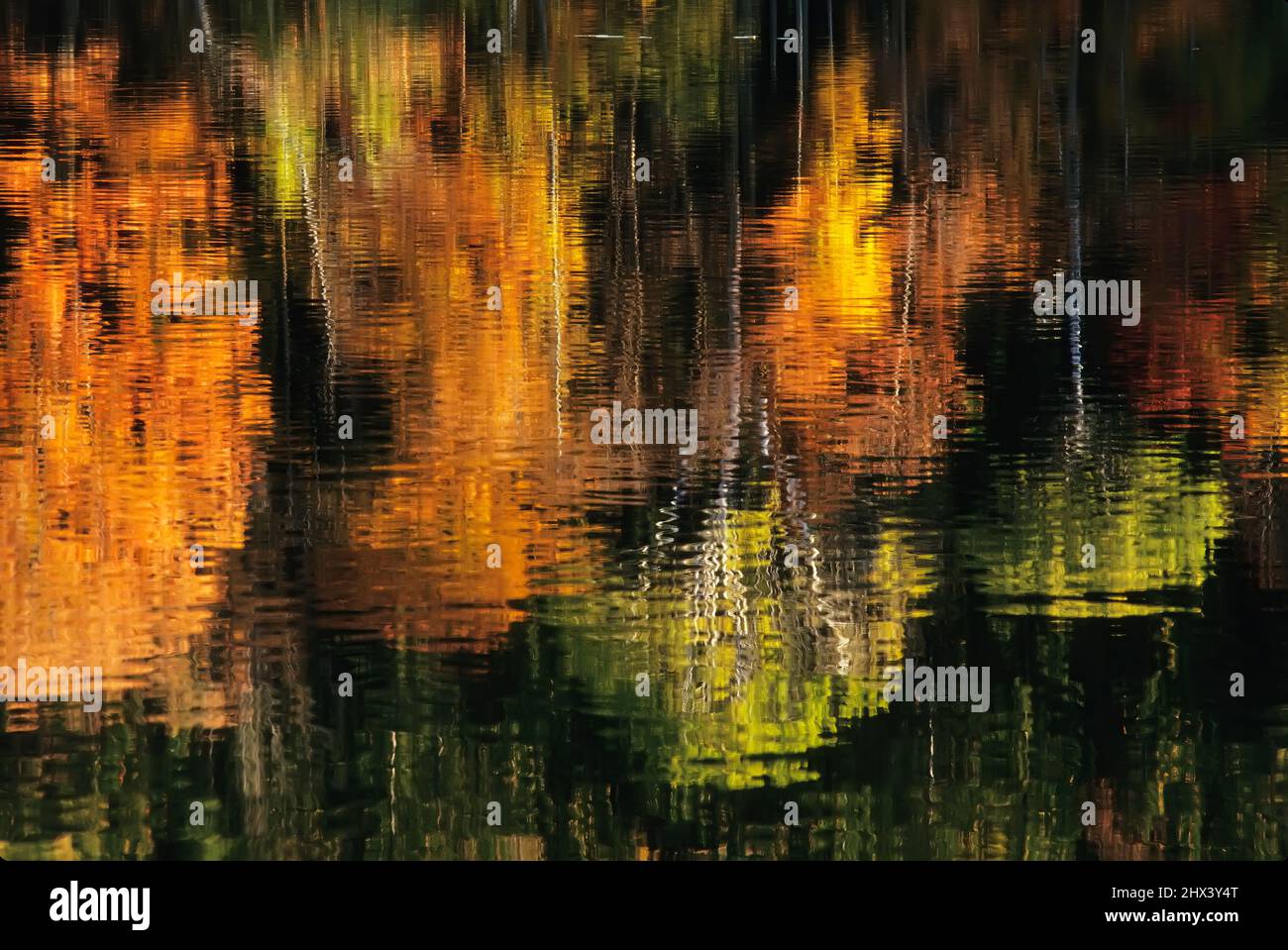Riflessi autunno nel lago Green Mountains Vermont Foto Stock
