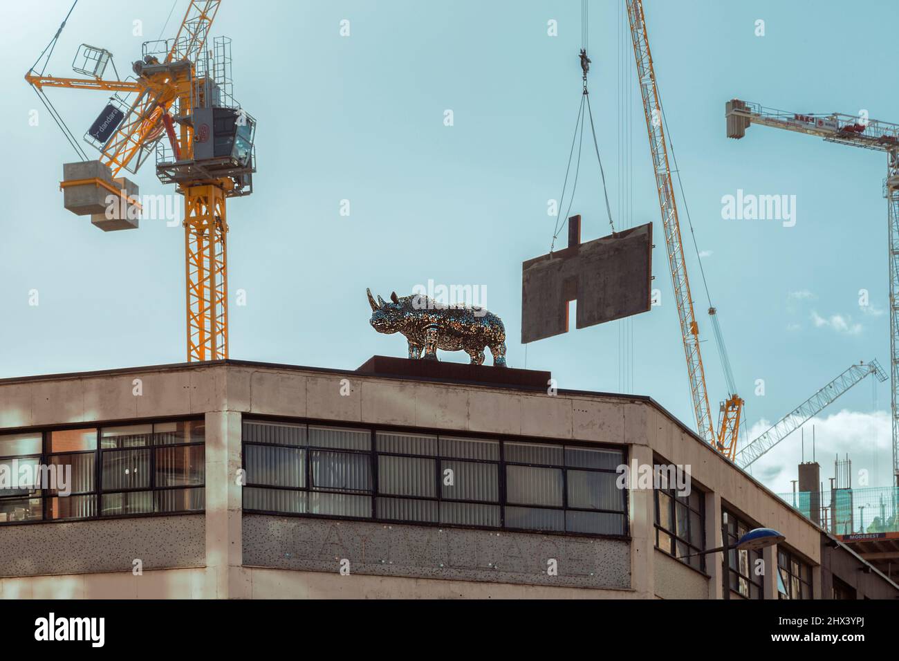 Il Rhinestone Rhino, una scintillante statua di un Rhino realizzata con specchi schiacciati e diamanti falsi in piedi su un tetto a Birmingham. Foto Stock