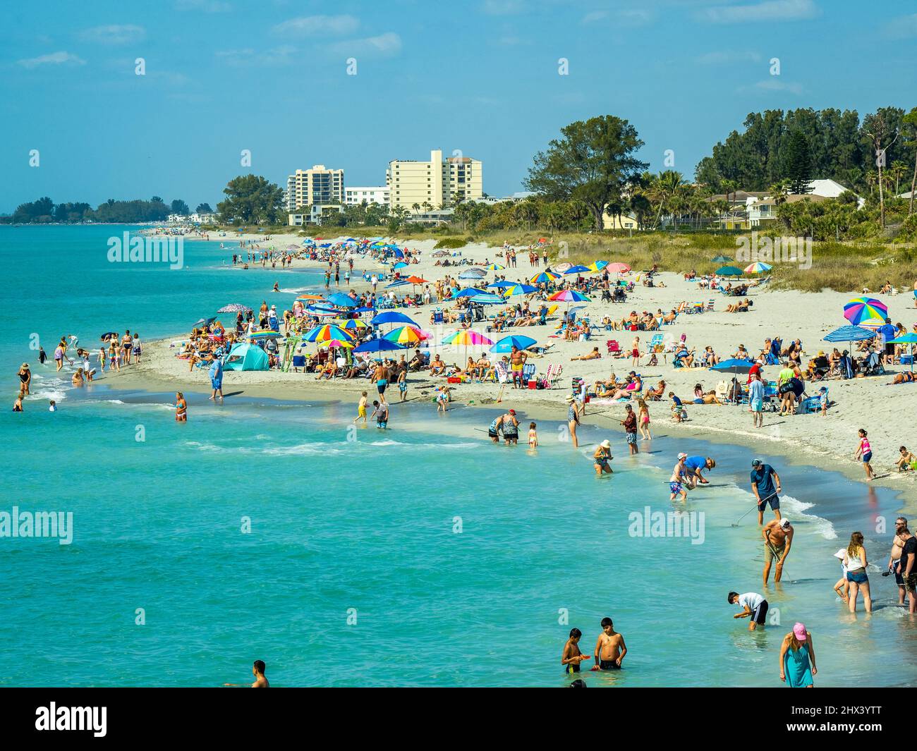 Persone che si godono il sole su Venezia affollata Baech sul Golfo del Messico a Venezia Florida USA Foto Stock