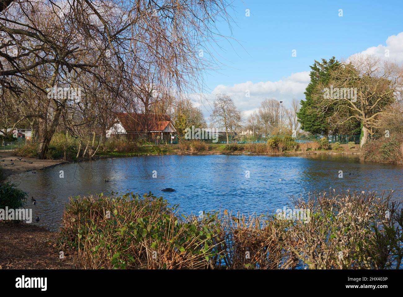 Lago di Finsbury Park in primavera, nel Borough di Haringey, North London, Regno Unito Foto Stock