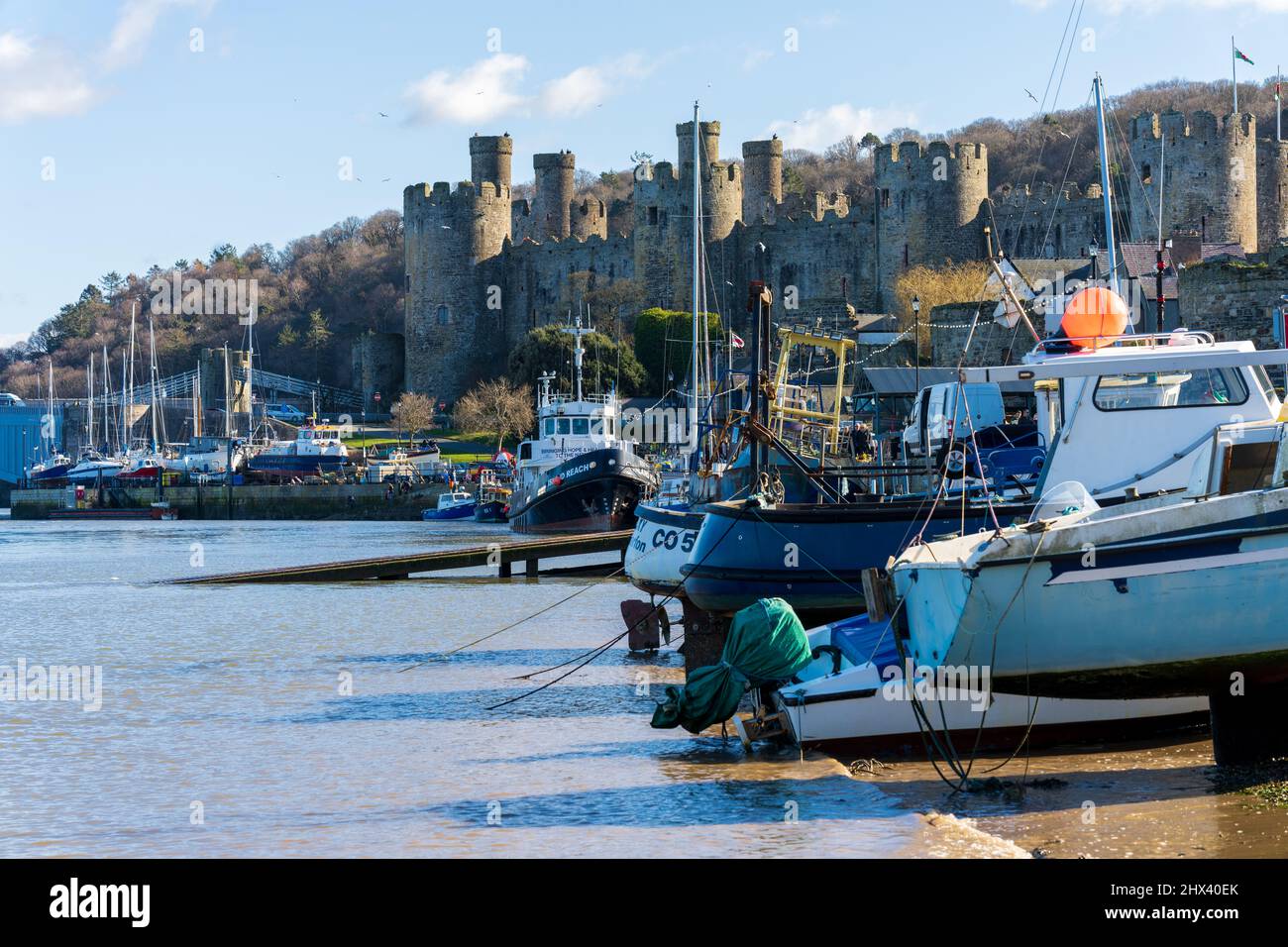 Conwy North Wales UK barca da pesca sulla banchina del porto con castello sullo sfondo Foto Stock