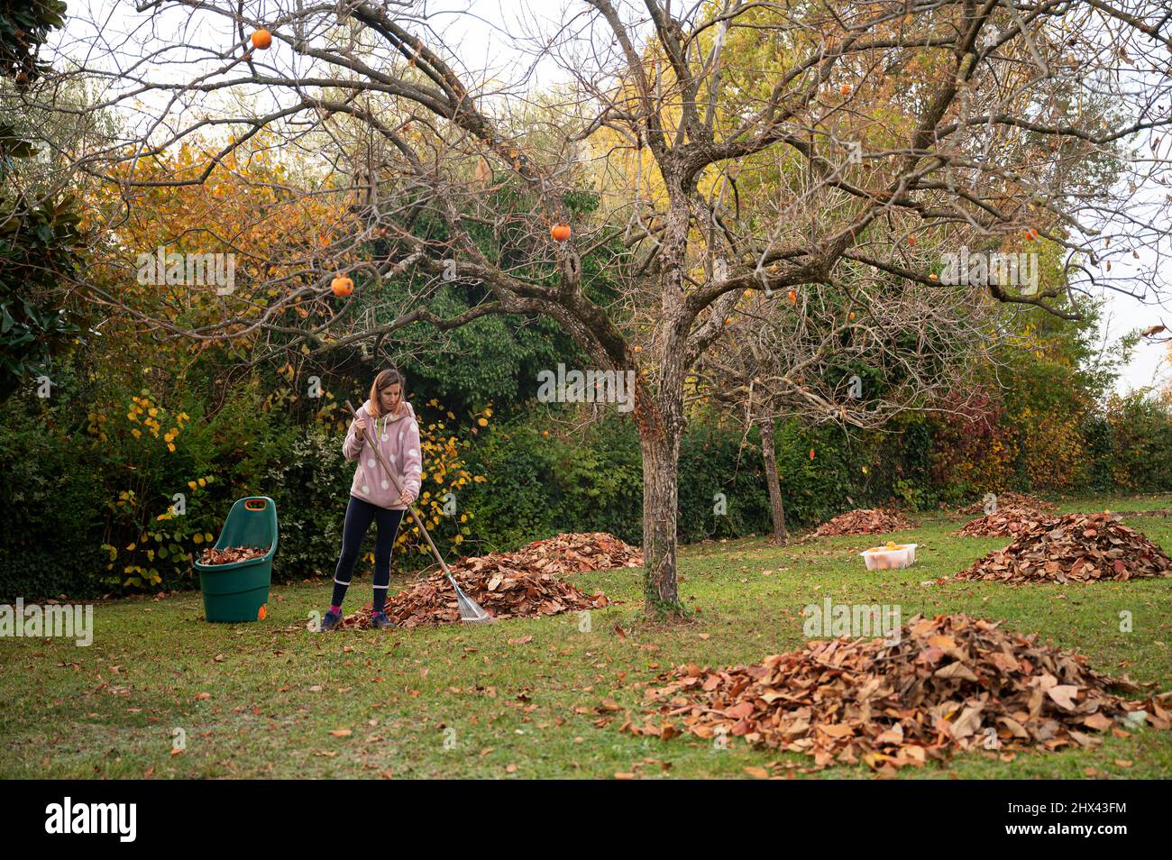 Giovane donna che rastrella autunno lascia nel cortile in una bella giornata di autunno soleggiato. Foto Stock