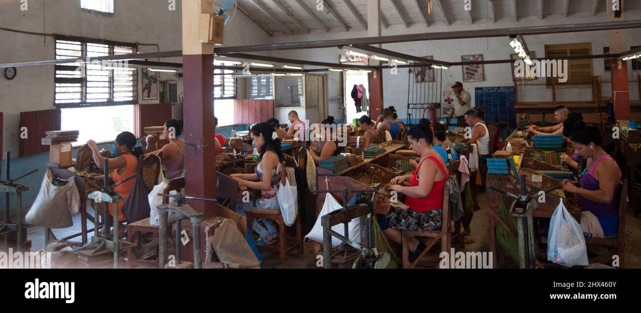 Uomini e donne seduti in una fabbrica a Trinidad, Cuba che lavorano a mano per la fabbricazione di sigari cubani. Foto Stock