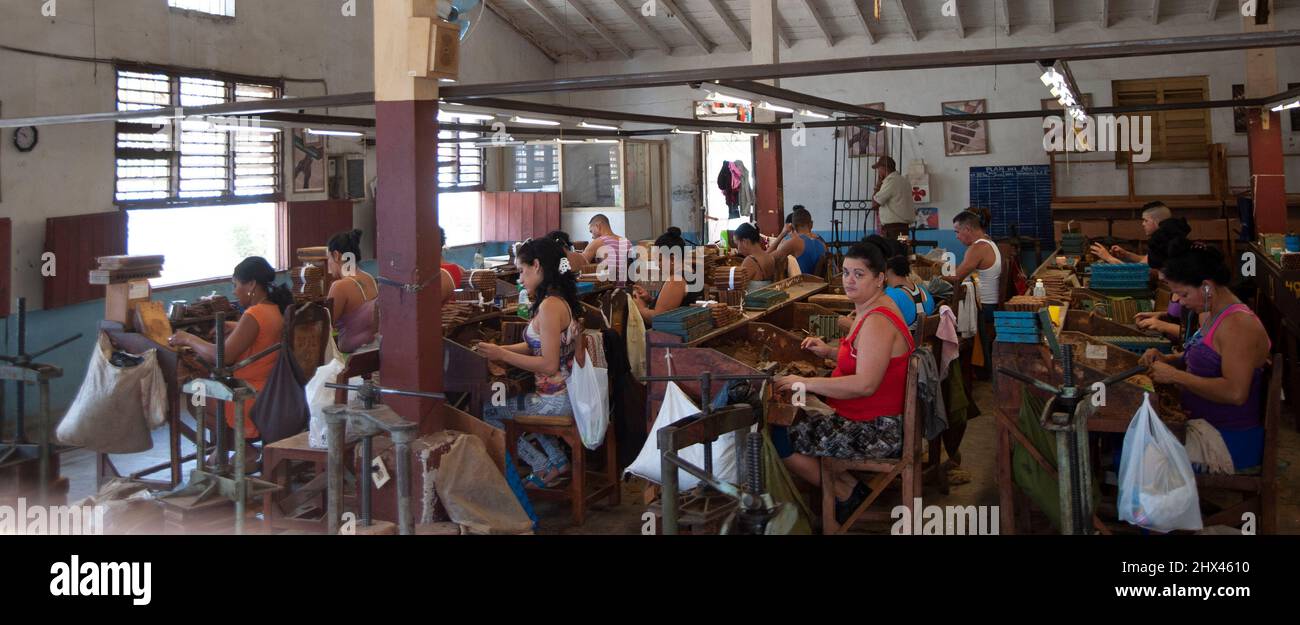 Uomini e donne seduti in una fabbrica a Trinidad, Cuba che lavorano a mano per la fabbricazione di sigari cubani. Foto Stock
