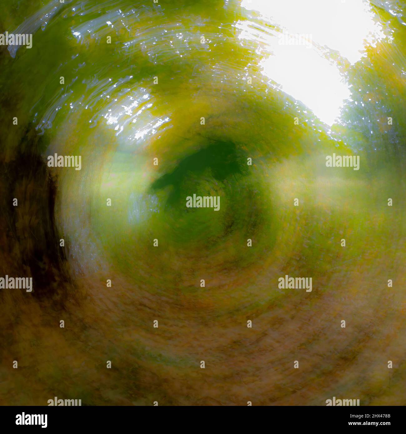 Un movimento intenziale della telecamera immagine astratta di uno sfondo swirly woodland. Foto Stock