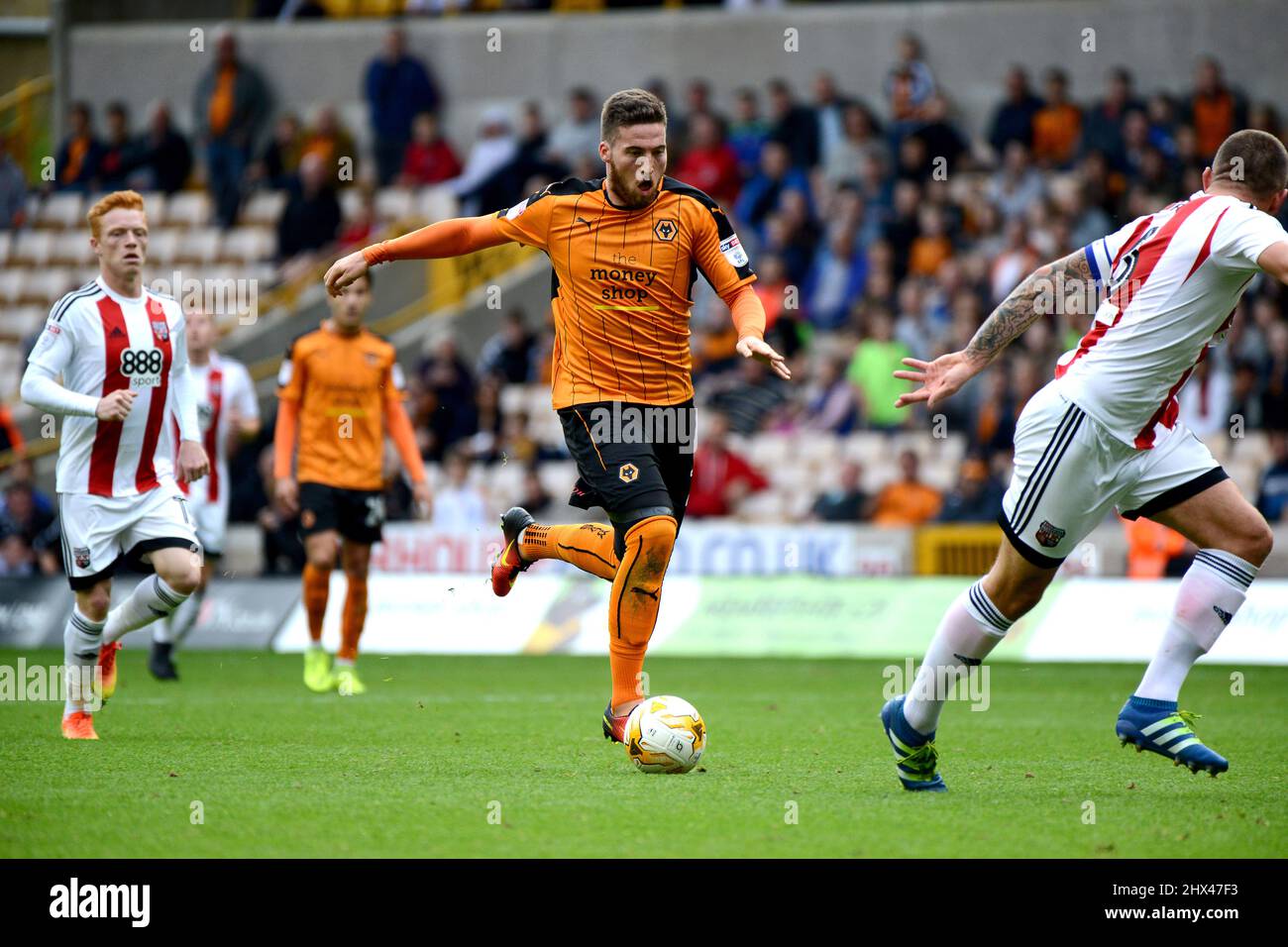 Matt Doherty di lupi. Wolverhampton Wanderers / Brentford al Molineux 24/09/2016 - Campionato Sky Bet Foto Stock