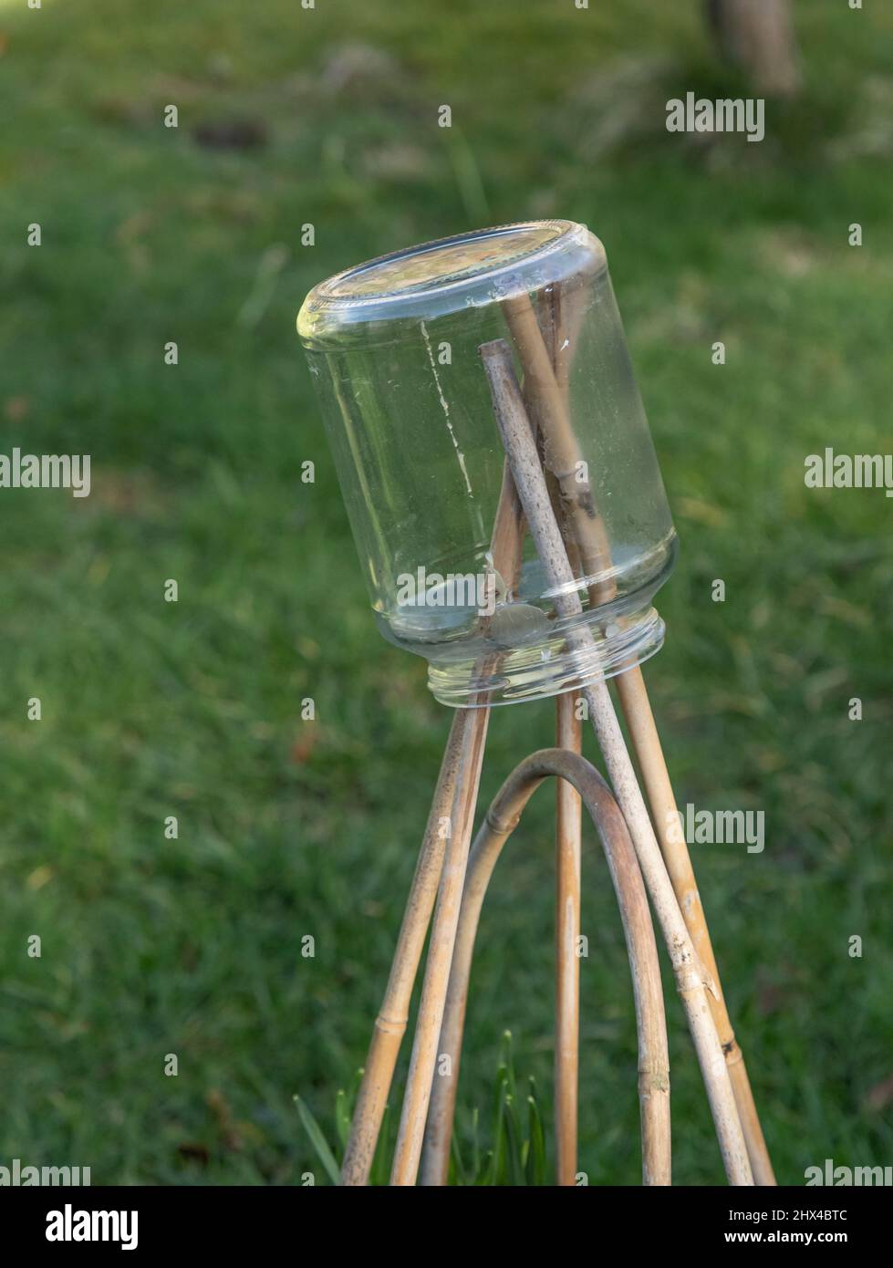 Jam jar di vetro usato per proteggere le lesioni degli occhi dalle canne del giardino. Foto Stock