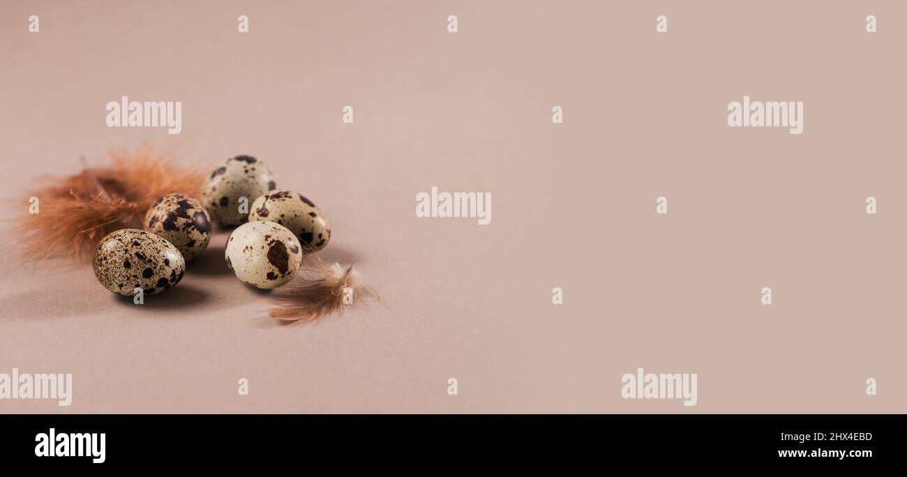 Sfondo pasquale con uova di colore naturale e piume marroni su sfondo beige. Spazio libero per il testo Foto Stock