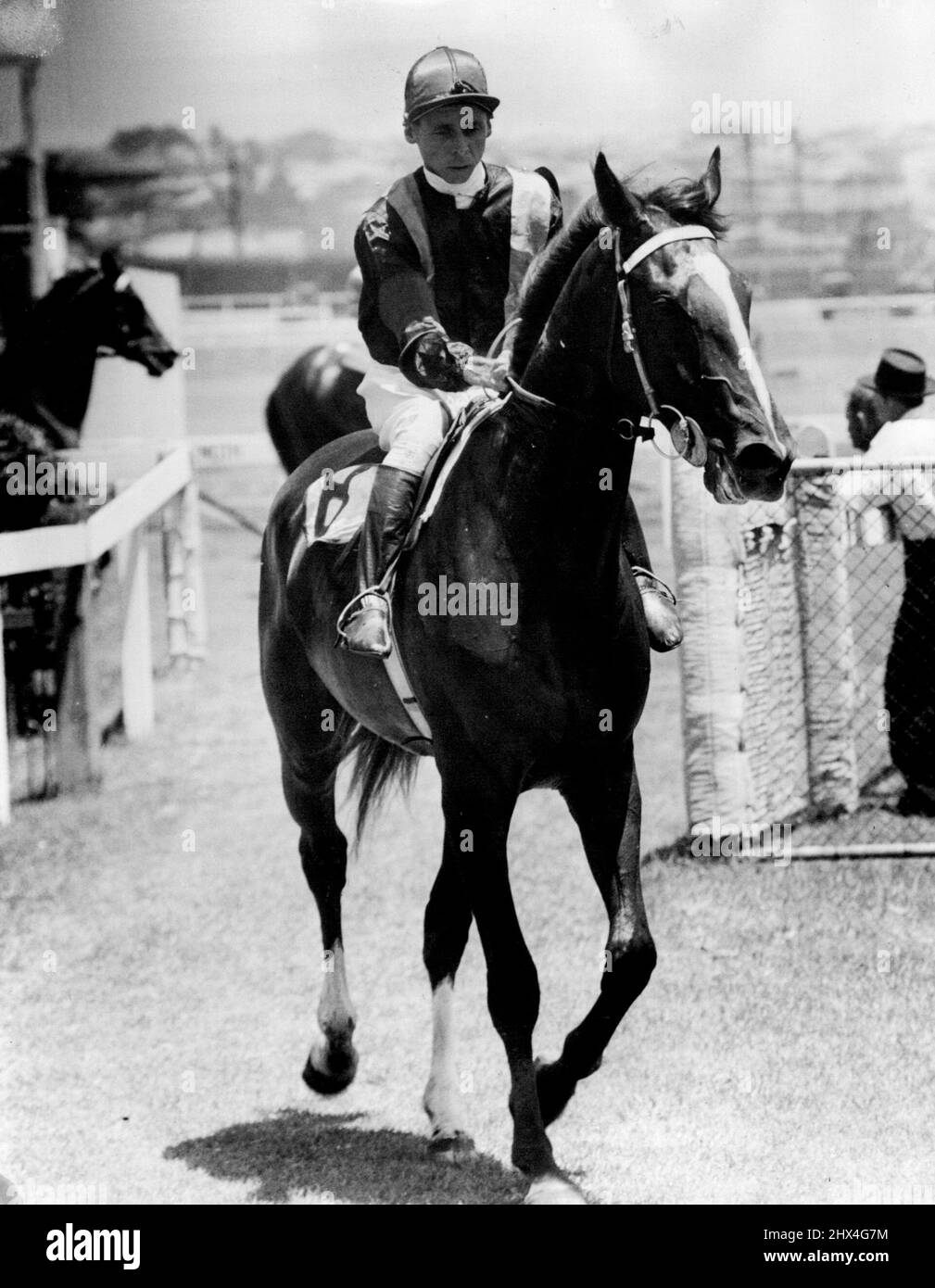 Il jockey H. Hanley che è stato sospeso per due mesi per cavalcare incauta a Canterbury ieri. Hanley è stato sospeso dopo aver vinto il handicap di due anni su francese Echo. Gli steward hanno scoperto che il jockey era responsabile dell'interferenza con Royal Signal (N. Sellwood) e la confessione preferita (B. Smith) nel turno di casa. Royal Signal, che ha finito terzo, è stato il più severamente controllato. Gennaio 20, 1952. Foto Stock