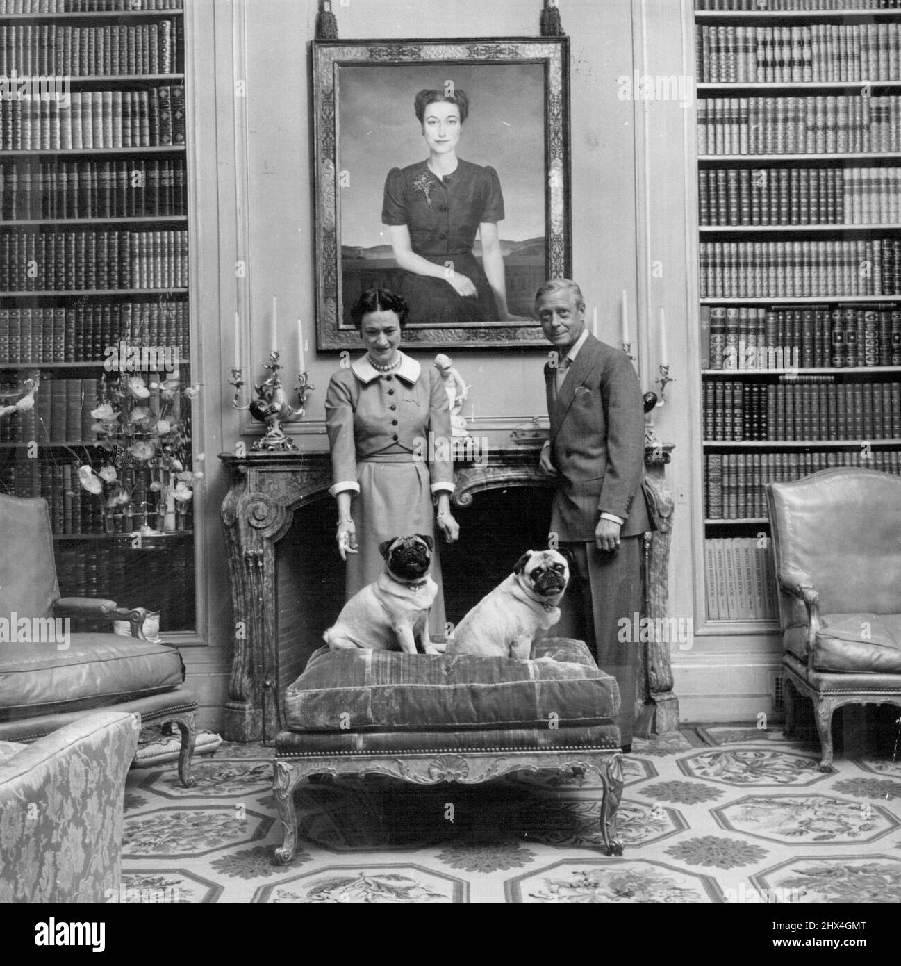 Il Duca e la Duchessa di Windsor fotografarono con i loro due cani, Trooper e Disry (dopo Disraeli), presso il camino di marmo della biblioteca. La camera è arredata in stile Luigi XV con poltrone in pelle rossa e sgabelli in velluto rosso. Un grande ritratto della duchessa del pittore americano Peraul Brockhurst è appeso sopra il camino. Il quadro fu dipinto nel 1939, due anni dopo il matrimonio di Windsor. Recentemente, sia il duca che la duchessa hanno commissionato la pittura dei loro ritratti. Per la sua pittura la Duchessa ha scelto Salvator Dali e il Duca l'artista James Gunn. Luglio 26, 1955 Foto Stock
