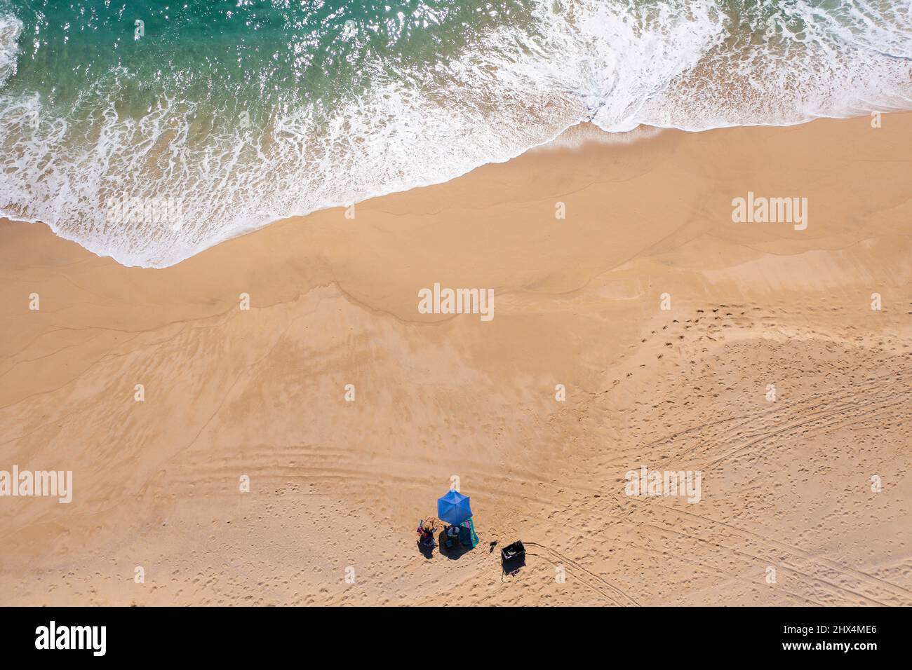 Un sole e cane alla spiaggia dell'Oceano Pacifico a Cabo San Lucas, BCS Messico 25 dicembre 2021 Foto Stock