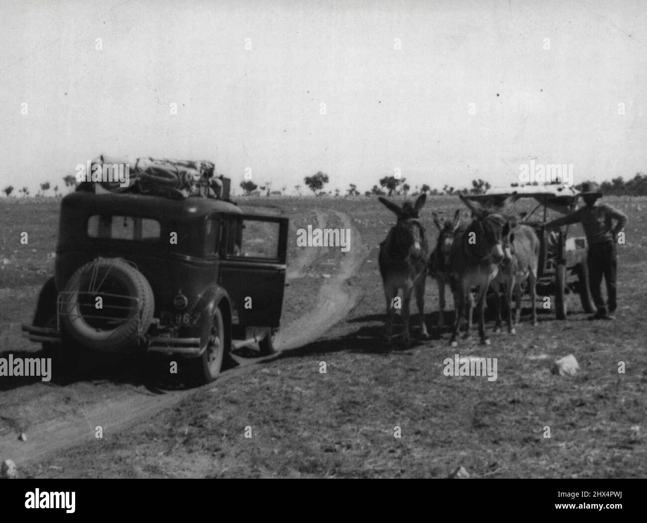 Alex Rummel uno swagman che vaga attraverso l'Australia Centrale con una squadra di asini. Il partito lo passò vicino al confine del territorio del Nord. Agosto 02, 1938. Foto Stock