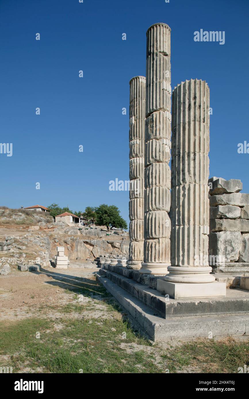 Turchia, vicino Kalkan, rovine di Letoon Foto Stock