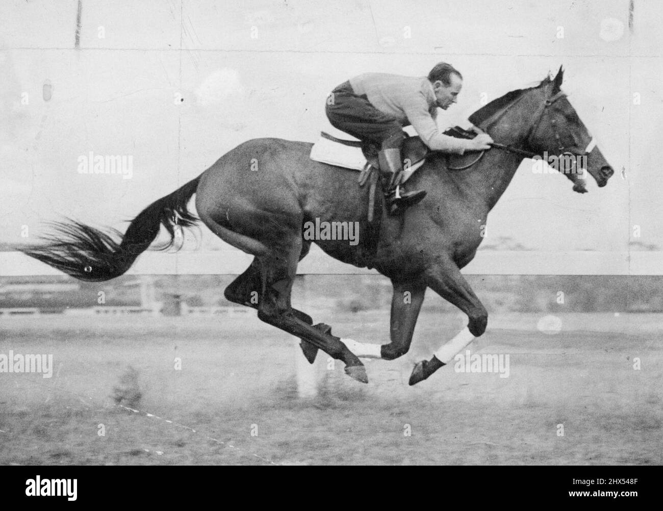 Andando -- San Domenico, che è stato Australia ***** sprinter per le passate stagioni del tour. Il campione, ora sette, è prossimo alla fine della sua brillante carriera. Ottobre 01, 1950. Foto Stock